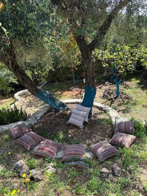 Mount Minis - Casa Bruno Villa Sívota Dış mekan fotoğraf