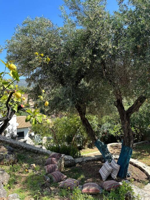 Mount Minis - Casa Bruno Villa Sívota Dış mekan fotoğraf